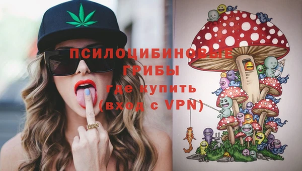 спайс Аркадак