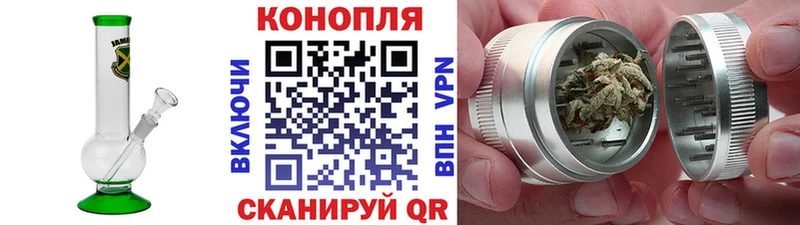 Бошки марихуана OG Kush  где купить   Мглин 